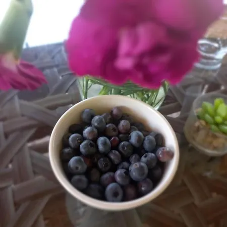 Willa Dom Pod Gaikiem