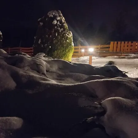 Dom Pod Gaikiem Willa